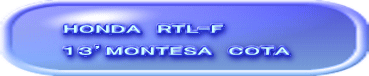HONDA　RTL-F  １３’MONTESA　COTA　